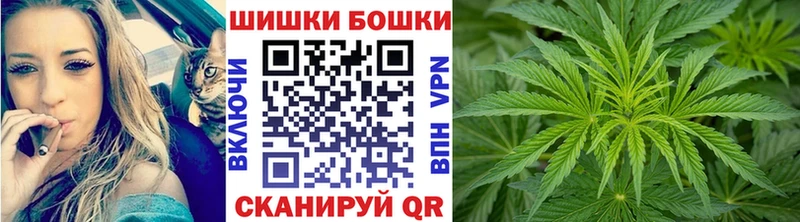 купить наркотики цена  Северодвинск  ОМГ ОМГ ССЫЛКА  МАРИХУАНА SATIVA & INDICA 